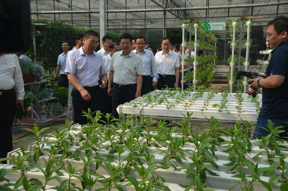 科技助農(nóng)，播撒光的種子  精準(zhǔn)扶貧，助力鄉(xiāng)村振興